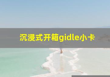 沉浸式开箱gidle小卡