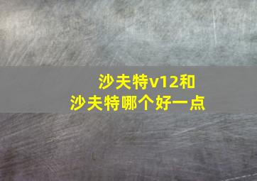 沙夫特v12和沙夫特哪个好一点