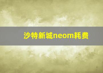 沙特新城neom耗费