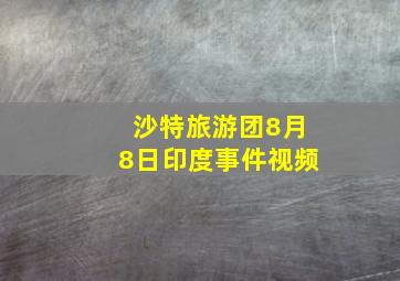 沙特旅游团8月8日印度事件视频