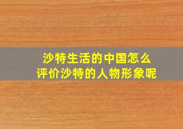 沙特生活的中国怎么评价沙特的人物形象呢