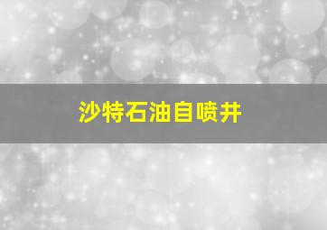 沙特石油自喷井