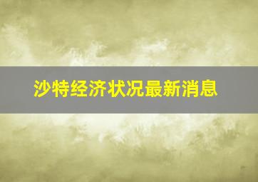 沙特经济状况最新消息