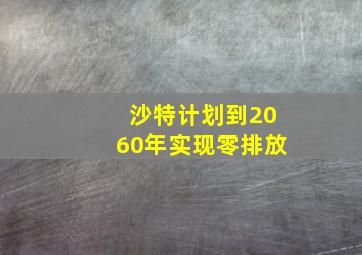 沙特计划到2060年实现零排放