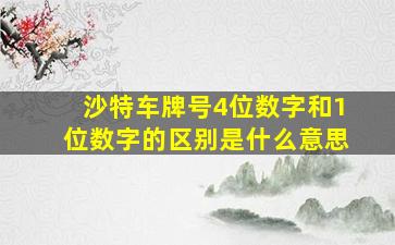 沙特车牌号4位数字和1位数字的区别是什么意思