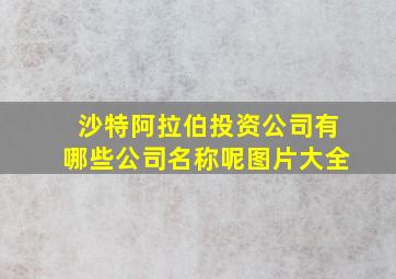 沙特阿拉伯投资公司有哪些公司名称呢图片大全