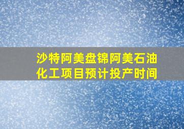 沙特阿美盘锦阿美石油化工项目预计投产时间