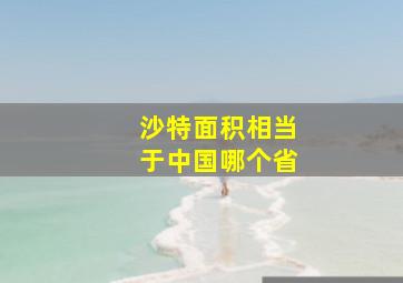 沙特面积相当于中国哪个省