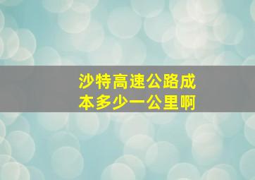 沙特高速公路成本多少一公里啊