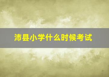 沛县小学什么时候考试