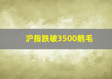 沪指跌破3500鹅毛