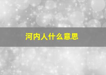 河内人什么意思