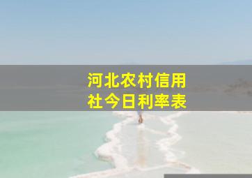 河北农村信用社今日利率表