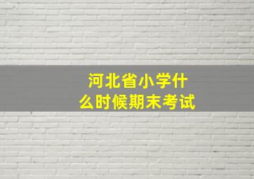 河北省小学什么时候期末考试