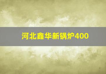 河北鑫华新锅炉400