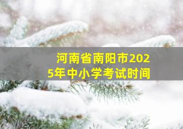 河南省南阳市2025年中小学考试时间