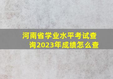 河南省学业水平考试查询2023年成绩怎么查