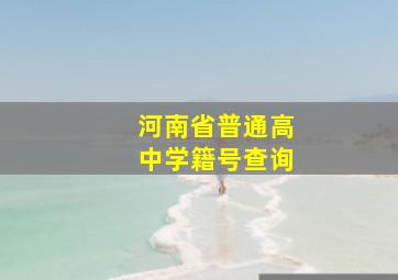 河南省普通高中学籍号查询