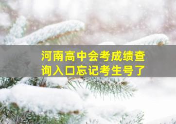 河南高中会考成绩查询入口忘记考生号了