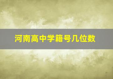 河南高中学籍号几位数