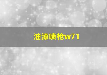 油漆喷枪w71