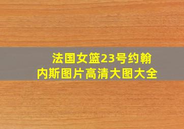 法国女篮23号约翰内斯图片高清大图大全