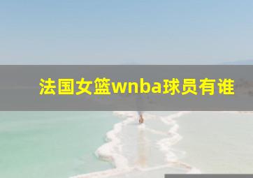 法国女篮wnba球员有谁