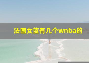 法国女篮有几个wnba的