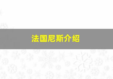 法国尼斯介绍