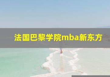 法国巴黎学院mba新东方