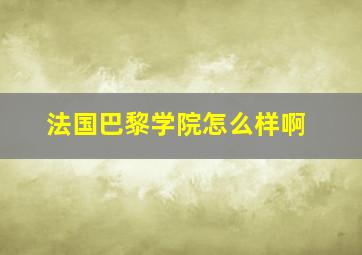 法国巴黎学院怎么样啊