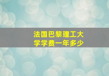 法国巴黎理工大学学费一年多少