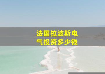 法国拉波斯电气投资多少钱