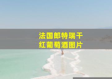 法国郎特瑞干红葡萄酒图片