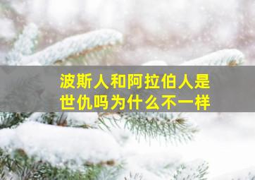 波斯人和阿拉伯人是世仇吗为什么不一样