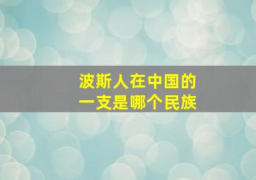 波斯人在中国的一支是哪个民族