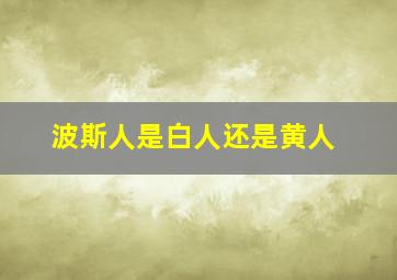 波斯人是白人还是黄人