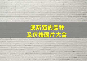 波斯猫的品种及价格图片大全