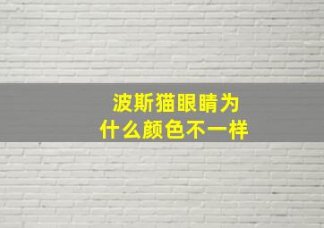 波斯猫眼睛为什么颜色不一样