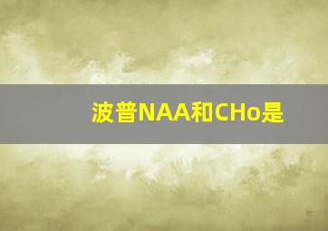 波普NAA和CHo是