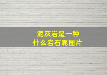 泥灰岩是一种什么岩石呢图片