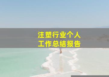 注塑行业个人工作总结报告