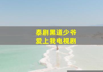 泰剧黑道少爷爱上我电视剧