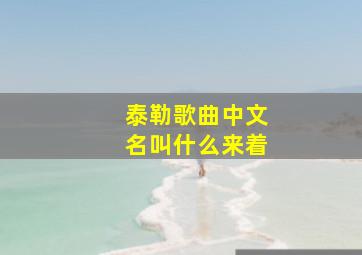 泰勒歌曲中文名叫什么来着