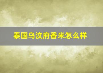 泰国乌汶府香米怎么样