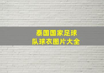 泰国国家足球队球衣图片大全