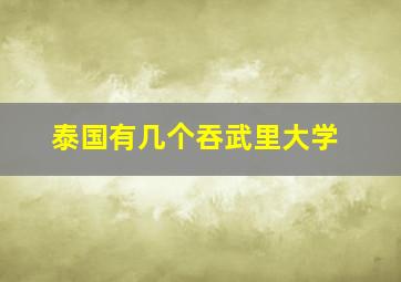 泰国有几个吞武里大学