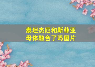 泰坦杰厄和斯菲亚母体融合了吗图片