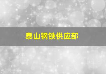 泰山钢铁供应部