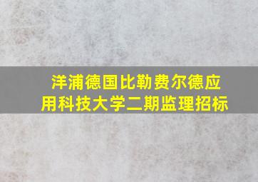 洋浦德国比勒费尔德应用科技大学二期监理招标